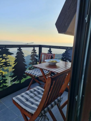 SkyKop Apartmani